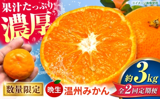 【先行予約】【全2回定期便】みかん 晩生 温州みかん 約3kg ミカン 【池田農園】 [ZEX009]