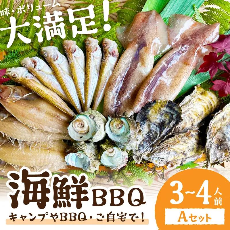 大満足！京丹後・海鮮BBQ　Aセット　5種20品（3～4人前）（2026年4月中旬～発送） 魚介類 さざえ 蠑螺 カキ かき いか バーベキュー ばーべきゅー きゃんぷ アウトドア あうとどあ 個包装 冷凍 送料無料