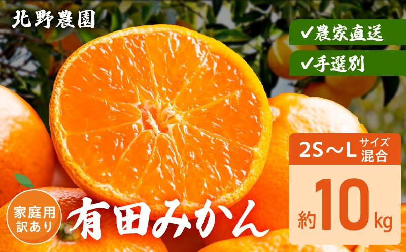 
                  DZ6235_ 【2026年先行予約】有田みかん 家庭用 訳あり サイズ 混合 おまかせ 2S ～ L 約 10kg みかん 柑橘 フルーツ 果物 果実 果汁 デザート 深み 濃厚 国産 北野農園 お取り寄せ 和歌山県 湯浅町 送料無料
                