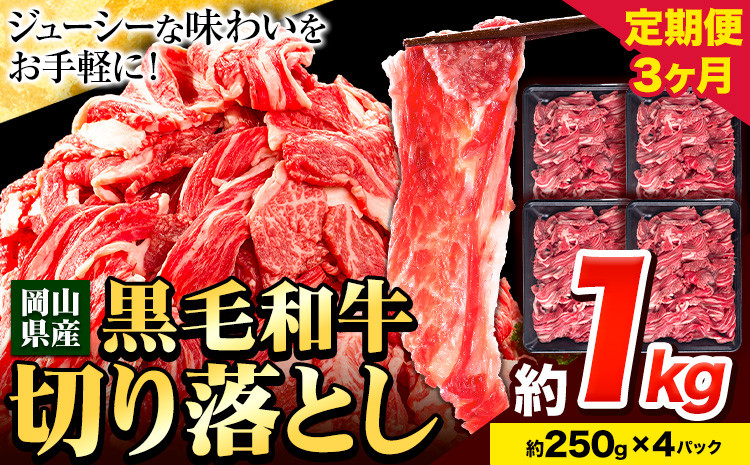 
牛肉【3ヶ月定期便】 肉 黒毛和牛 切り落とし 訳あり 大容量 小分け 1kg 1パック 250g 定期便《お申込み月翌月から出荷開始》岡山県産 岡山県 笠岡市 お肉 にく カレー 牛丼 切り落し 切落し
