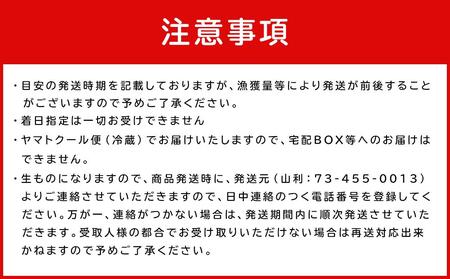 七代目 山利 金印 特上 釜あげしらす 900g 木箱入り 春しらす【2024年発送】