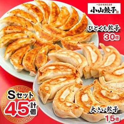 ふるさと納税 小山市 冷凍餃子専門店 小山餃子[Sセット全45個] ひとくち餃子30個/大きい餃子15個