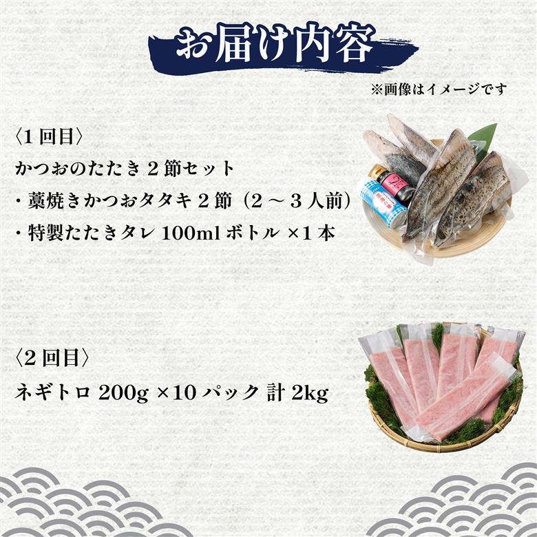 【 全2回定期便 】ネギトロ と カツオ の 定期便 海鮮 鮪 鰹 定期 セット まぐろ カツオのたたき ネギトロ 中トロ 刺身 海鮮 鰹 冷凍 魚 海産物 魚介類 高知県 まぐろたたき 鮪 藁焼き 