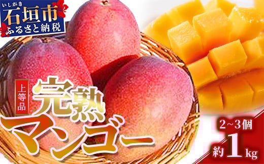 石垣島産・完熟マンゴー 約1kg エコ箱入り （2～3個入り）