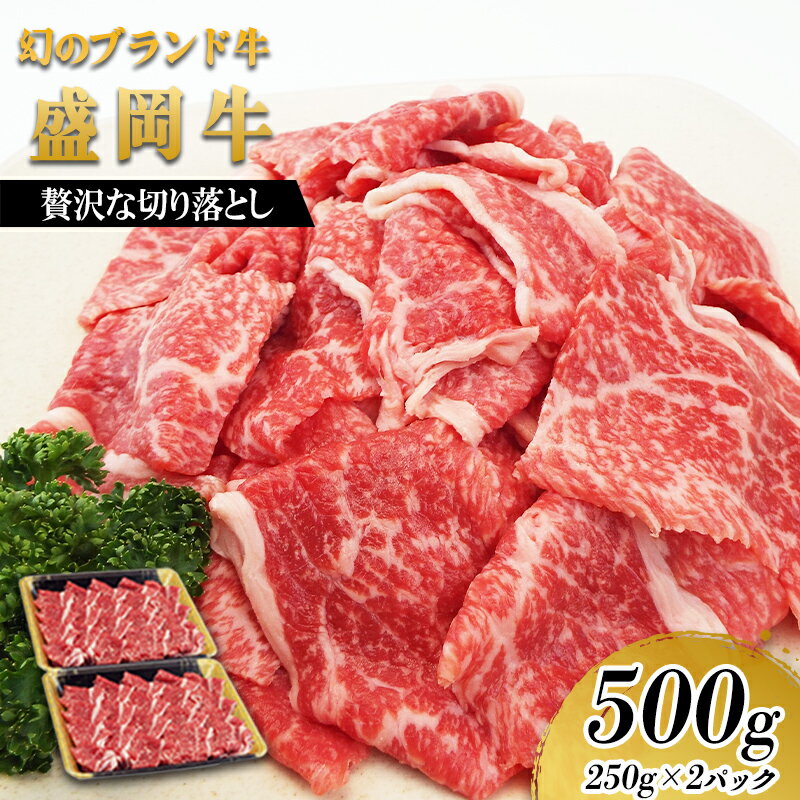 【ふるさと納税】 盛岡牛 切り落とし 500g 250g×2p 冷凍 盛岡産 黒毛和牛 国産 希少 霜降り 高級 贅沢 和牛 ブランド牛 赤身 切落し 赤身切り落とし ぎゅうにく 岩手県 盛岡市 赤身肉 カレー 肉じゃが 牛丼 牛肉 肉 小分け 焼肉 盛岡 有限会社トゥレイス