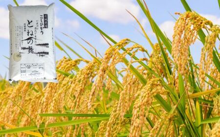 【9ヶ月定期便】《 令和7年産 》米 コシヒカリ 「 とねの舞 」 精米 10kg ／ 米 こめ コメ お米 おこめ コシヒカリ こしひかり とねの舞 新米 白米 ごはん 令和7年産 10kg 定期便