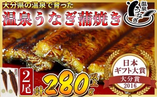 
                  【日付指定可】温泉うなぎ蒲焼 2尾（140gサイズ） 国産うなぎ 人気 チョイス限定 国産 蒲焼 蒲焼き かば焼き 鰻屋 個包装 冷凍 真空 ギフト 海鮮 父の日 ＜104-007＞
                