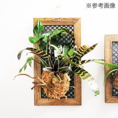 ふるさと納税 邑楽町 ハンギングボード 縦型 大 壁掛け ウッドフレーム|09_chm-cq0101ab |  | 01