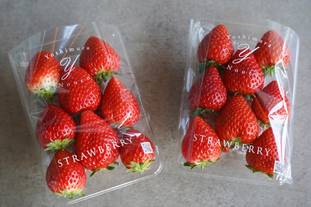 【2026年1月発送開始】【先行予約】ハート型のご褒美いちご とちあいか 合計1kg (250ｇ×4パック) | 栃木県 ふるさと納税 いちご イチゴ 苺 果物 フルーツ とちあいか 熟成 ご褒美 ハ