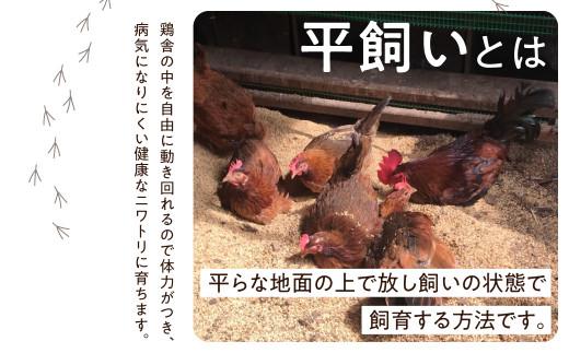 6ヶ月 定期便 平飼い 自然卵 30個 セット たまご 卵 飛騨高山 森のたまご農園 LW103