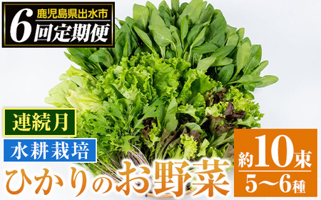 i678-B ＜定期便・計6回(連続月)＞ひかりのお野菜(約10束・5～6種)【ひかりの郷】