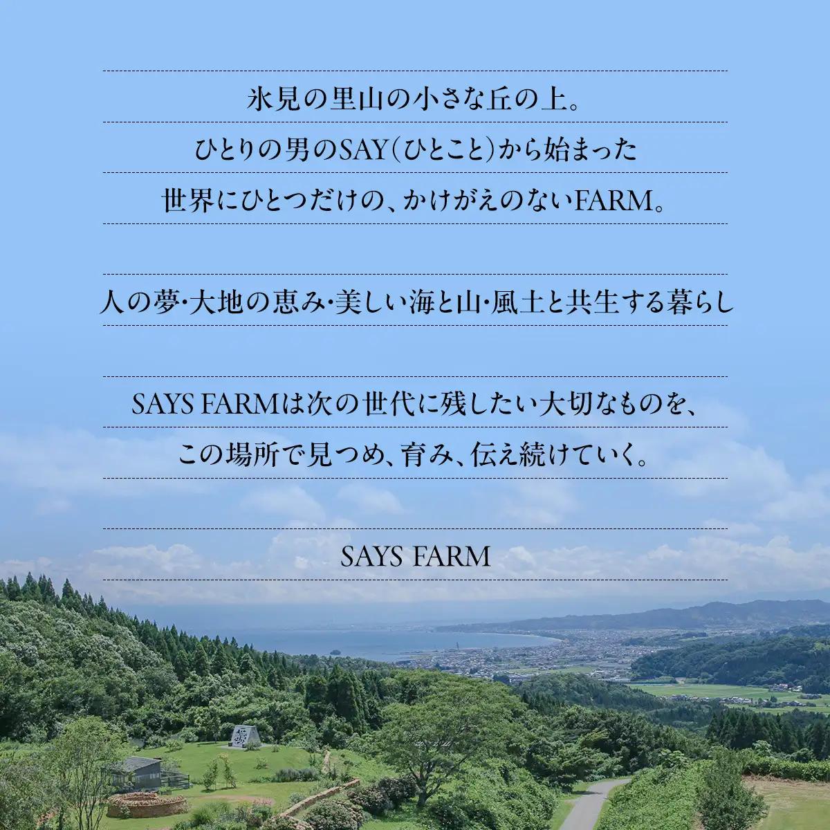 SAYSFARM ROSE2024 ワイン ロゼ | ロゼワイン 国産 葡萄酒 地ワイン 富山県 氷見市