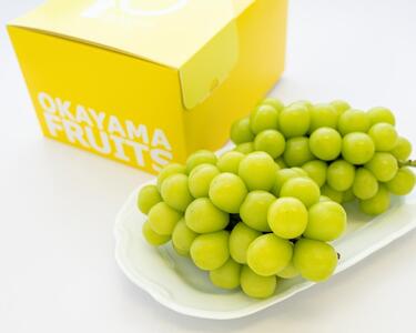 【先行予約】ご家庭用　岡山県産シャインマスカット　1.2kg（2～3房）（クール便）