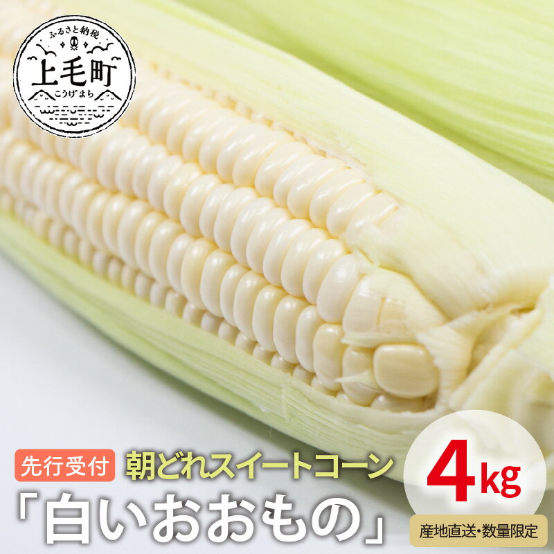 【ふるさと納税】先行受付 朝どれスイートコーン「白いおおもの」4kg【産地直送・数量限定】 スイートコーン コーン とうもろこし YF0504