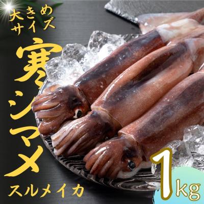 ふるさと納税 海士町 朝どれ寒シマメ 1.0kg以上 3〜4杯　いか　イカ　スルメイカ　