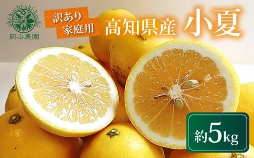 【先行受付】 訳あり 小夏 5kg 家庭用 フルーツ 果物 みかん 期間限定 季節限定 旬 柑橘 自宅用 ご家庭用 訳アリ こなつ 日向夏 ニューサマーオレンジ オレンジ デザート スイーツ アレンジ