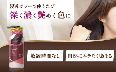 ダリヤ サロンドプロ カラーシャンプー 3個セット【ローズブラウン】 / 稲沢市 / 日興商事株式会社[BMBK004-04]