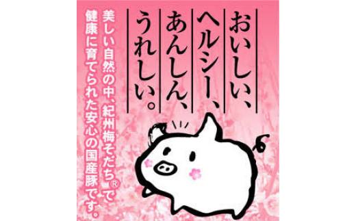 大西のしゅうまい40個セット (20個入り×2パック) / 和歌山 田辺市 シュウマイ 焼売 手作り 紀州うめぶた 無添加 冷凍 レンジ調理 【gyz007-2】