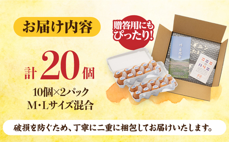 アルギニン 元気たまご 20個 自然栽培 平飼い 【浅田峠自然塾】卵 20個 たまご 鶏卵 玉子 国産 卵かけご飯 たまごかけご飯 すき焼き 目玉焼き [EA01] げんきたまご たまご料理 卵スイー