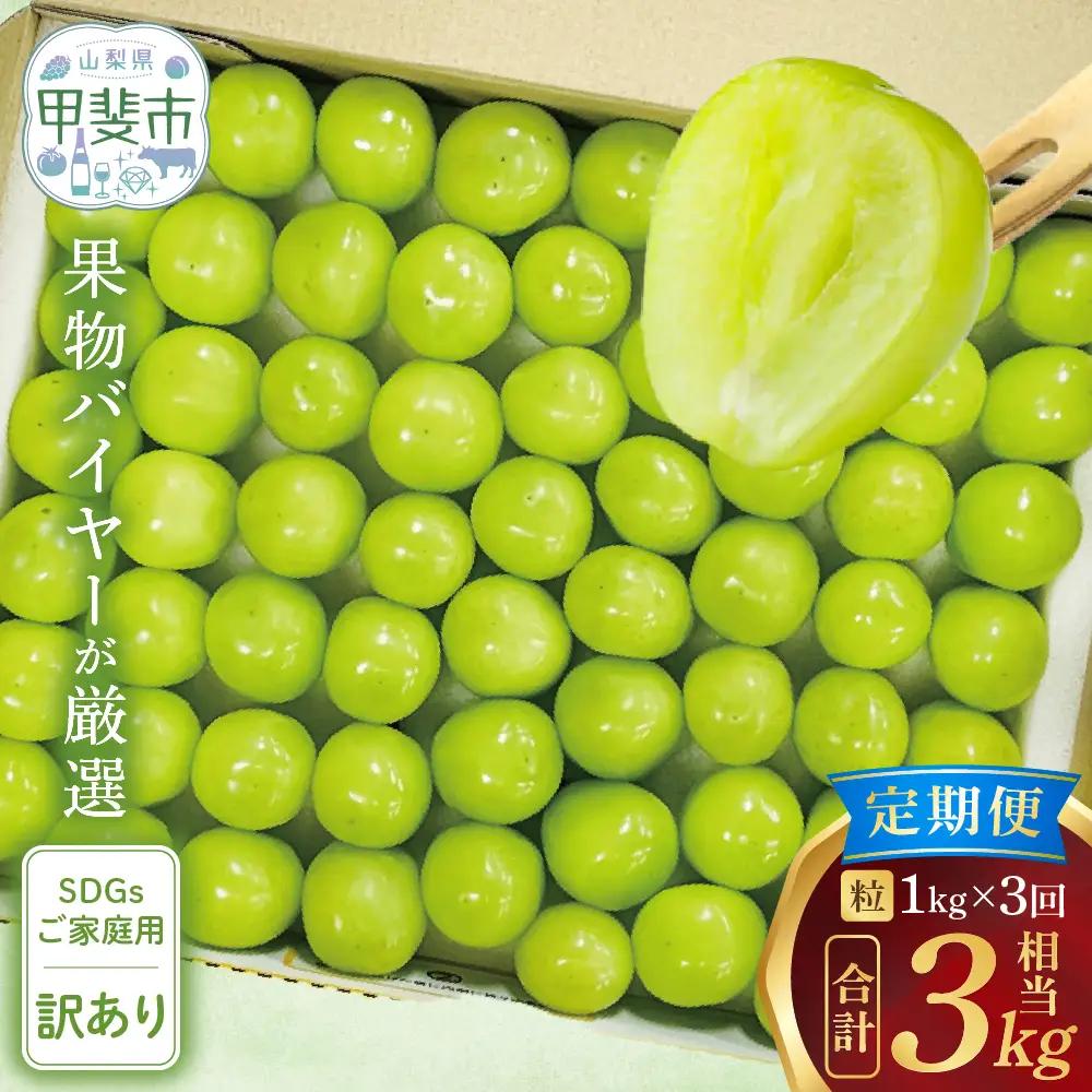 【訳アリ】【定期便】粒 シャインマスカット 約1.0㎏×3回 山梨シャインマスカット