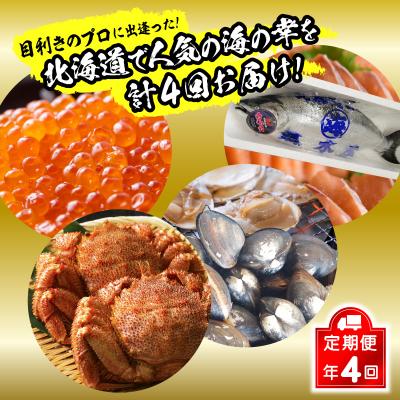 ふるさと納税 新ひだか町 &lt;12月から順次発送&gt;【 定期便 4回 】 北海道産 海の幸 定期便 &lt; 先行受付 &gt;