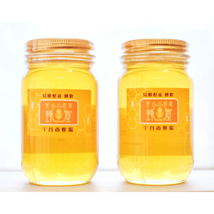 【ふるさと納税】 純粋はちみつ 300g 2本 セット 蜂蜜 ハチミツ 純粋 国産 はちみつ 詰め合わせ 特産品 お取り寄せ グルメ プレゼント 贈り物