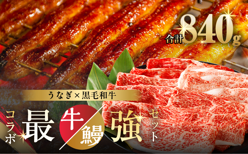 ≪数量限定≫うなぎ×黒毛和牛 都農町最強セットB 肉 牛 牛肉 おかず 国産_T030-1303