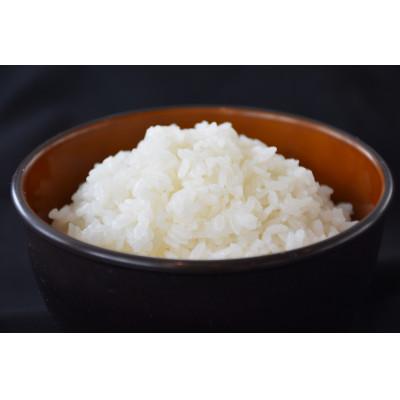 ふるさと納税 御殿場市 令和7年産　ごてんばこしひかり「このはなの恵み」(精米5kg) |  | 01