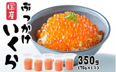 ＼TVで紹介されました／ いくら醤油漬け 350g (70g×5パック) 国産 鮭卵 冷凍 最上級グレード 3特 【 お試し ikura 鮭 鮭卵 醤油 海鮮 魚卵 人気 醤油漬け 】 RT1965