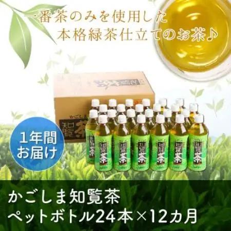 【毎月定期便】かごしま知覧茶ペットボトル定期便全12回【4088561】