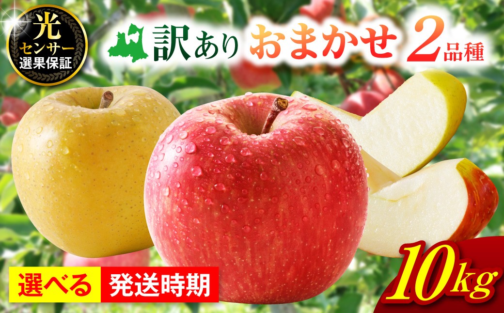 
                  【選べる配送時期】【訳あり】 旬の美味しい りんご 10kg 程度 【おまかせ2品種】青森県産  訳あり りんご リンゴ  林檎 果物 フルーツ 品種おまかせ 家庭用 青森 五所川原
                