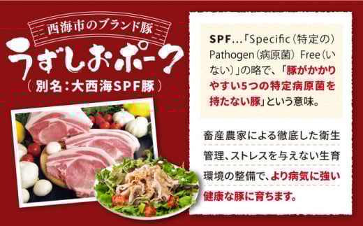 【 訳あり 】【6回 定期便 】長崎うずしおポーク 焼肉 ＆ しゃぶしゃぶ セット 1.4kg  豚肉 豚 焼き肉用 焼肉用 しゃぶしゃぶ 豚スライス ロース バラ ＜スーパーウエスト＞ [CAG09