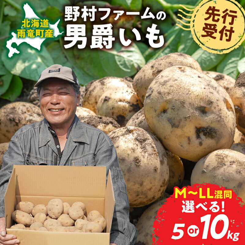 【ふるさと納税】【先行予約】北海道産 じゃがいも 男爵 5kg 10kg 甘くておいしい 甘いじゃがいも ホクホク 先行受付 秋野菜 サイズ混同 季節野菜 直送 じゃがバター マッシュポテト コロッケ フライドポテト ポテトサラダ 北海道 雨竜町 送料無料