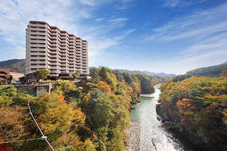 鬼怒川温泉　ホテルサンシャイン鬼怒川ペア宿泊招待券 [0027]
