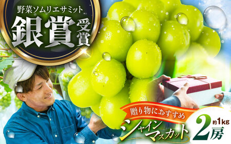 【2026年先行予約】【50個限定】【贈答用】シャインマスカット 2房（約1kg） [AIAB001] 