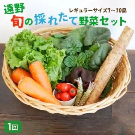 旬のとれたて野菜セット(7~10品)レギュラーサイズ【こんたでぃーの遠野】【配送不可地域：離島】【1328912】