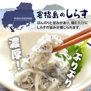 生シラス500g (100g×5個) 魚介 しらす 広島県 呉市