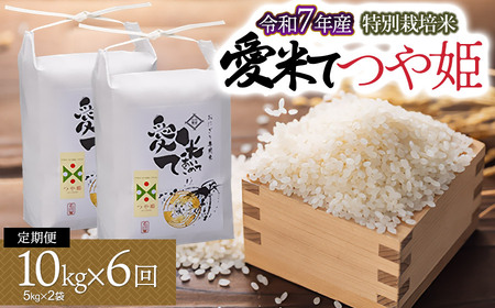 【令和7年産先行予約】【6ヶ月定期便】特別栽培米 つや姫　10kg（5Kg×2袋）× 6ヶ月　山形県鶴岡市産　愛米て