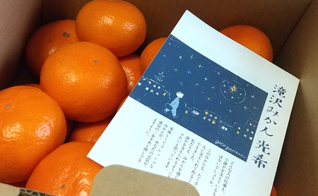 みかん 静岡【2025年11月下旬より順次発送】滝沢みかん 光希「光-ひかり-」片山2kg(S~Lサイズ) 浜松市産 温州みかん