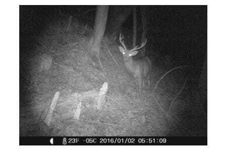 囲炉裏付き古民家に泊まり、猟師の罠猟に同行しよう!(ファミリー向け)