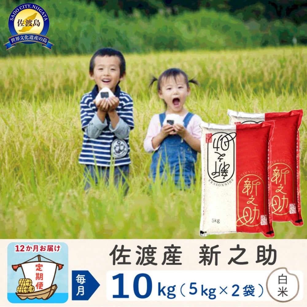 
            【新米予約 12か月定期便】佐渡島産 新之助 白米10Kg 令和7年
          
