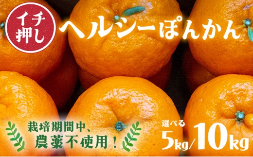 
                  ＜選べる容量＞【先行予約】 ヘルシー ぽんかん 5kg / 10kg
                