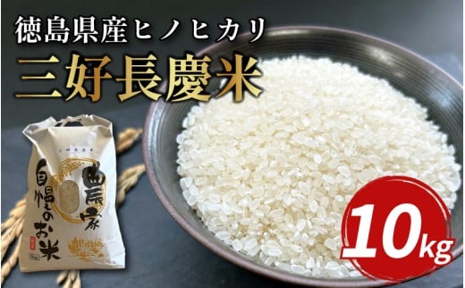 米 令和7年産 新米 10kg 三好長慶米 ヒノヒカリ こめ お米 ご飯 ごはん おにぎり 白米 精米 ギフト 贈答 プレゼント グルメ 送料無料 徳島県 三好市 三野町 特産 みよし 大西農園