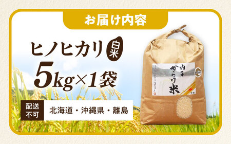 内子からり米 令和7年産ヒノヒカリ 5kg（精米5kg×1袋）／ お米 こめ 白米 精米 食品 令和7年度 ヒノヒカリ 送料無料【株式会社内子フレッシュパークからり】 [BKAD092]