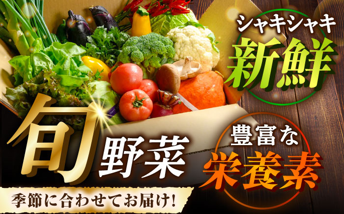 栽培期間中農薬不使用！旬のお野菜セット×手作り玉ねぎドレッシング（2本）　愛媛県大洲市/有限会社ヒロファミリーフーズ [AGBX002]野菜 サラダ カレー 農業 トマト 料理 きゅうり 鍋 とうもろ