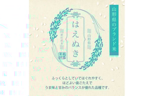 令和7年産 先行予約 ＜定期便 6回＞ 山形県産 はえぬき 精米 10kg （5kg×2）【最上ノ米蔵】 F3S-2489