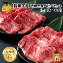 【ふるさと納税】【福井のブランド牛肉】若狭牛 すき焼き食べ比べセット 1kg（ロース500g×1パック、モモ500g×1パック）| 肉 牛肉 国産 黒毛和牛 和牛 冷凍 500グラム 1キロ