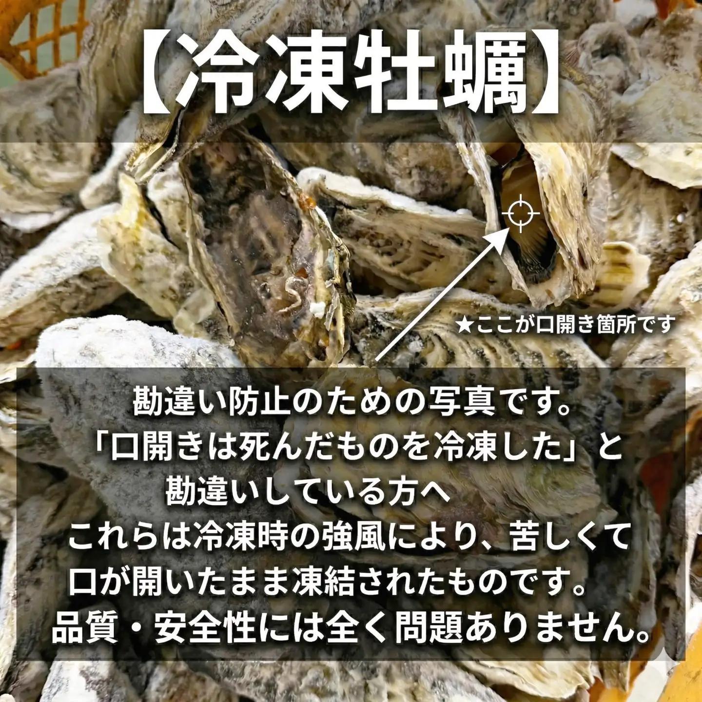 松島牡蠣屋 冷凍牡蠣（生食用）2kg 宮城県産 牡蛎 牡蠣 カキ オイスター カキフライ 牡蠣鍋 海鮮 国産 魚貝類 急速冷凍 【菊地水産合同会社】sh157
