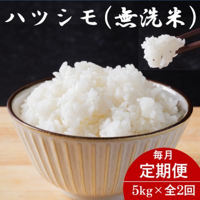 ふるさと納税 羽島市 【毎月定期便】岐阜県産ハツシモ(無洗米) 5kg全2回