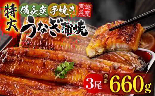 【宮崎県産】特大うなぎ備長炭手焼き蒲焼3尾(660g) 冬うなぎ_M159-011
